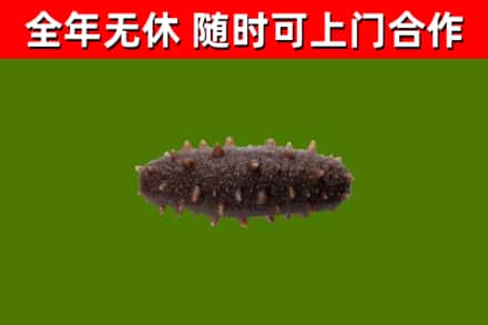 灵寿烟酒回收干海参.jpg
